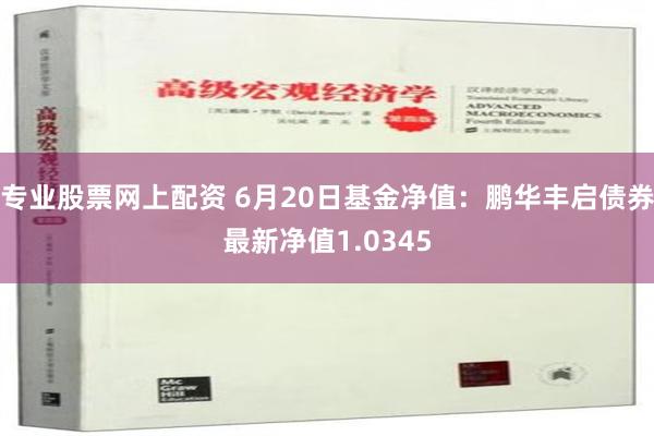 专业股票网上配资 6月20日基金净值：鹏华丰启债券最新净值1.0345