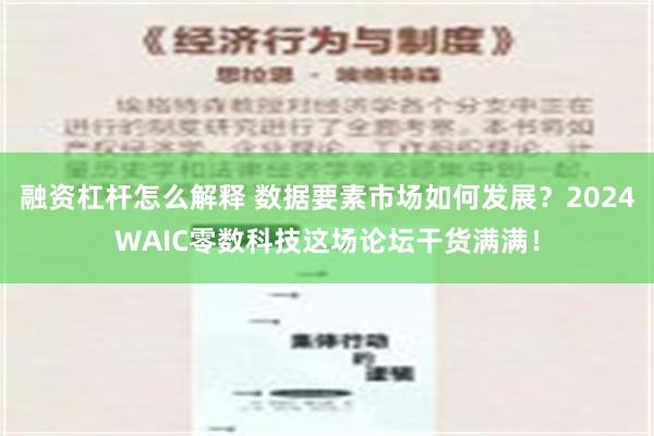 融资杠杆怎么解释 数据要素市场如何发展？2024WAIC零数科技这场论坛干货满满！