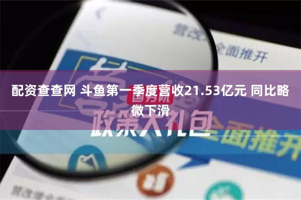 配资查查网 斗鱼第一季度营收21.53亿元 同比略微下滑