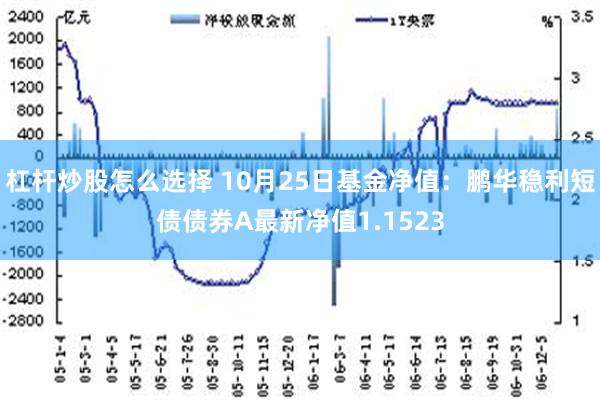 杠杆炒股怎么选择 10月25日基金净值：鹏华稳利短债债券A最新净值1.1523