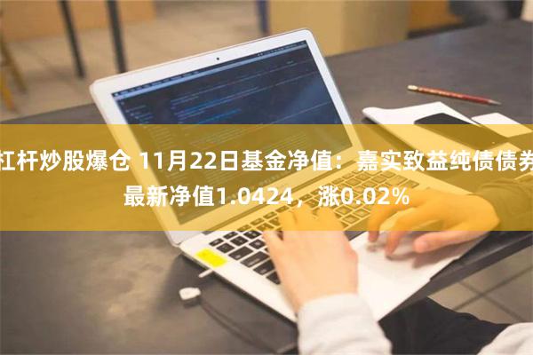 杠杆炒股爆仓 11月22日基金净值：嘉实致益纯债债券最新净值1.0424，涨0.02%