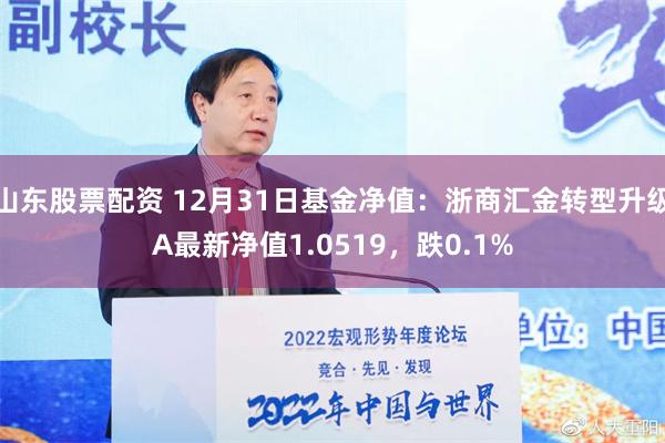 山东股票配资 12月31日基金净值：浙商汇金转型升级A最新净值1.0519，跌0.1%