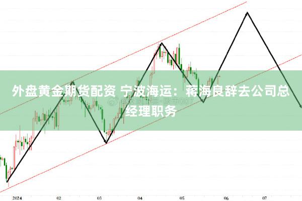 外盘黄金期货配资 宁波海运：蒋海良辞去公司总经理职务