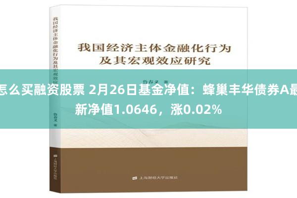 怎么买融资股票 2月26日基金净值：蜂巢丰华债券A最新净值1.0646，涨0.02%